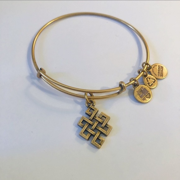 Alex and Ani Jewelry - Alex and Ani Endless Knot bracelet